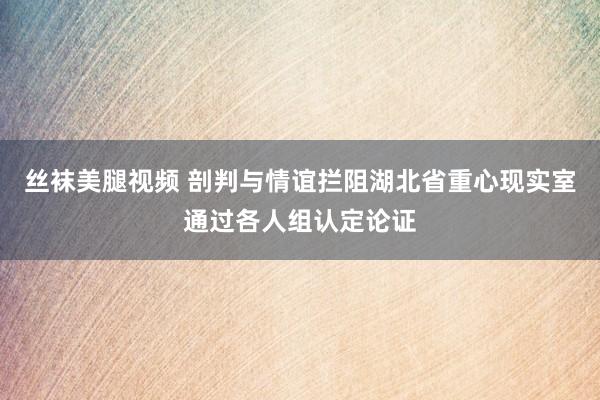 丝袜美腿视频 剖判与情谊拦阻湖北省重心现实室通过各人组认定论证