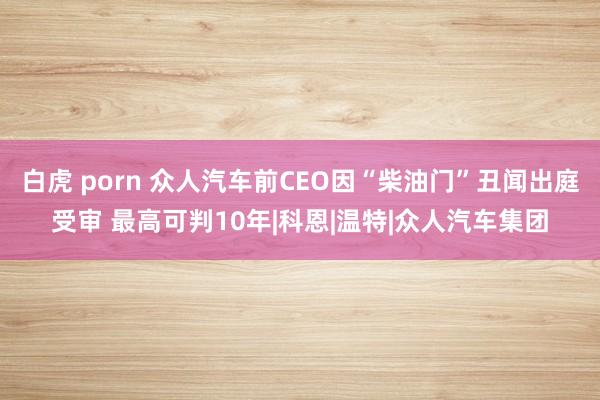 白虎 porn 众人汽车前CEO因“柴油门”丑闻出庭受审 最高可判10年|科恩|温特|众人汽车集团