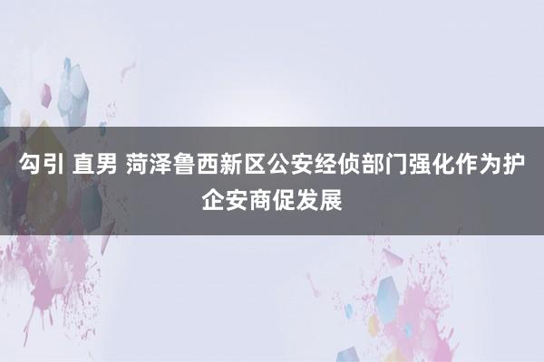 勾引 直男 菏泽鲁西新区公安经侦部门强化作为护企安商促发展