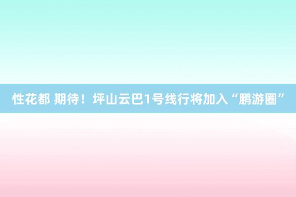 性花都 期待！坪山云巴1号线行将加入“鹏游圈”