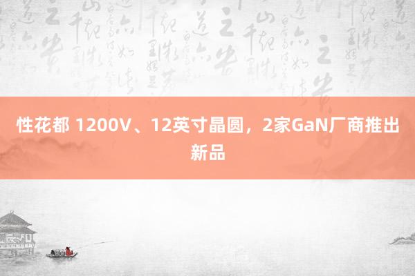 性花都 1200V、12英寸晶圆，2家GaN厂商推出新品