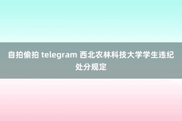 自拍偷拍 telegram 西北农林科技大学学生违纪处分规定