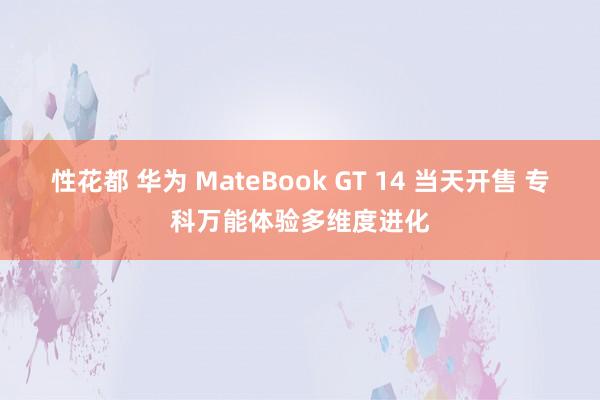 性花都 华为 MateBook GT 14 当天开售 专科万能体验多维度进化