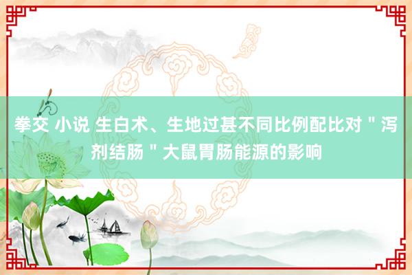 拳交 小说 生白术、生地过甚不同比例配比对＂泻剂结肠＂大鼠胃肠能源的影响