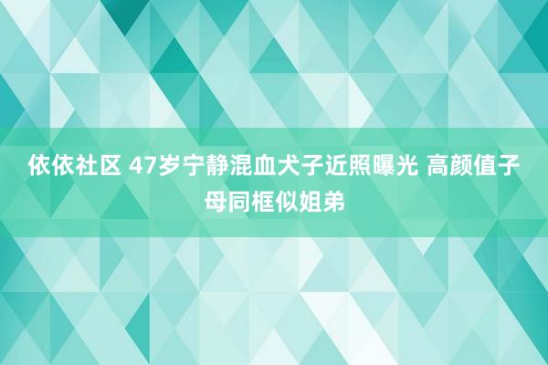 依依社区 47岁宁静混血犬子近照曝光 高颜值子母同框似姐弟