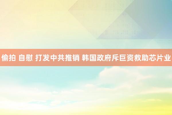 偷拍 自慰 打发中共推销 韩国政府斥巨资救助芯片业