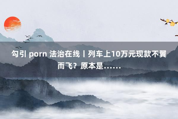 勾引 porn 法治在线丨列车上10万元现款不翼而飞？原本是……